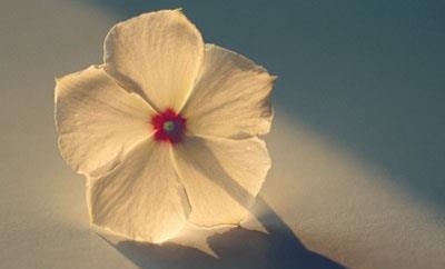 �������ݵ�������